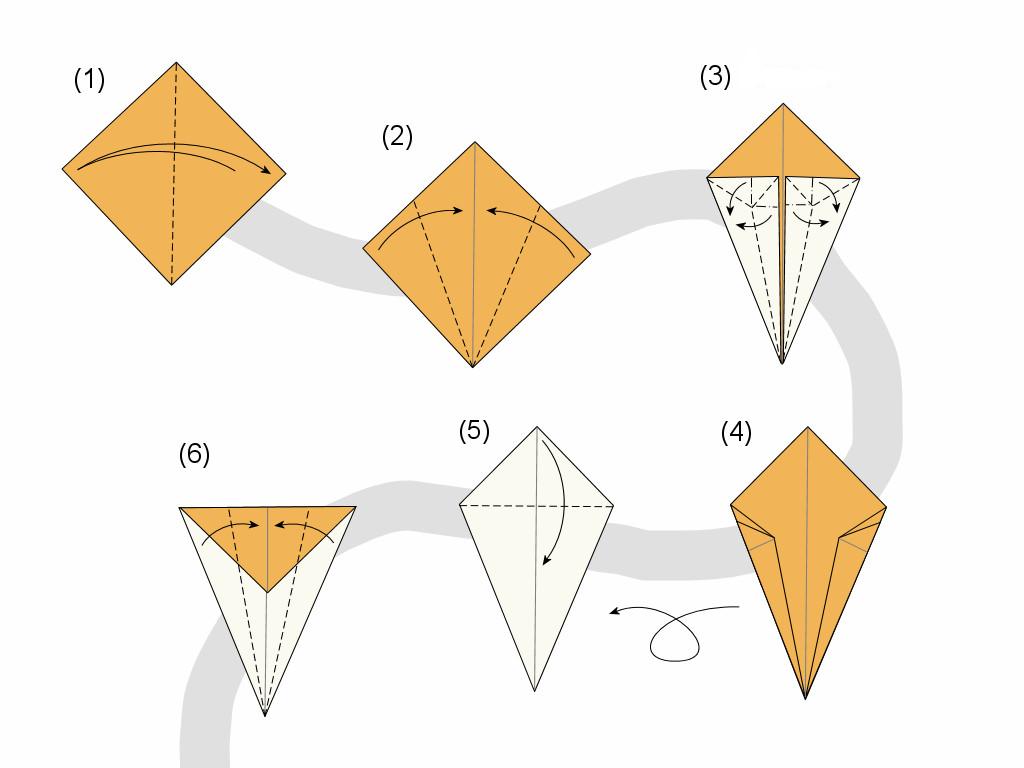 step by step scheme