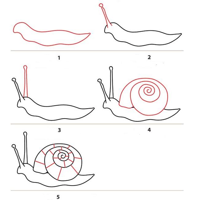Как нарисовать улитку пошагово