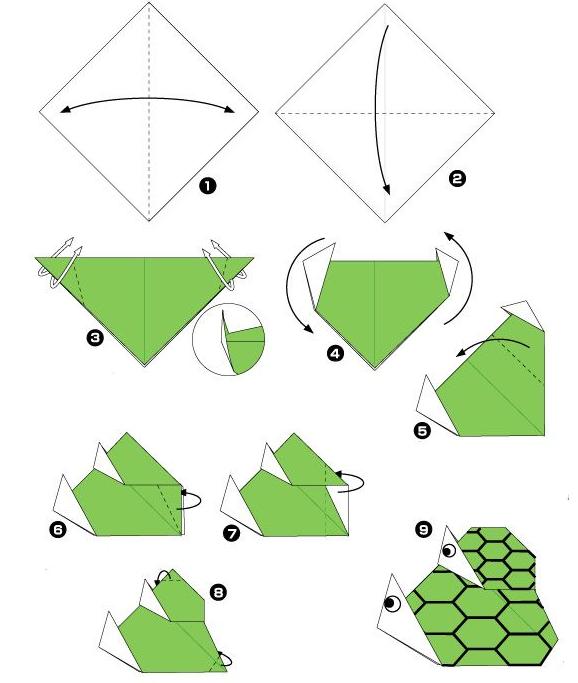 scheme of origami turtles with baby