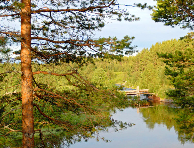 Архангельск климат: отзывы