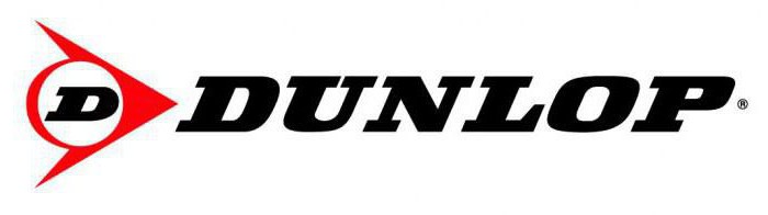 Технические характеристики шин dunlop