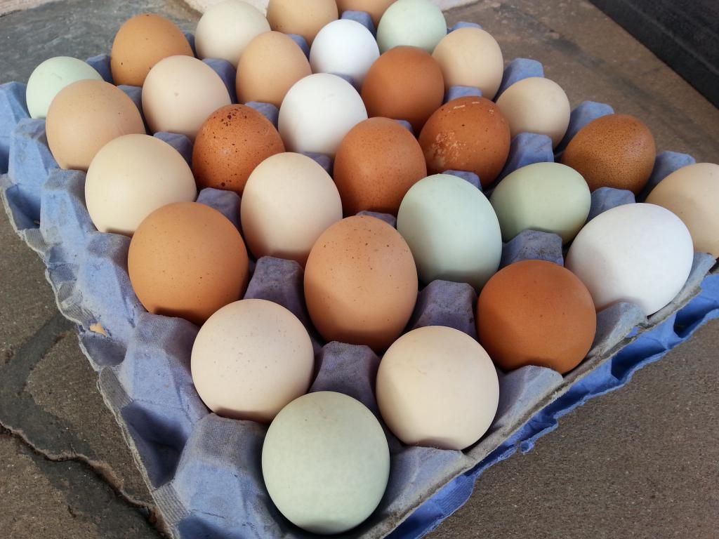 польза деревенских яиц
