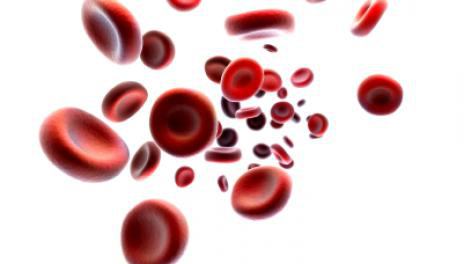 определение групп крови по системе аво 