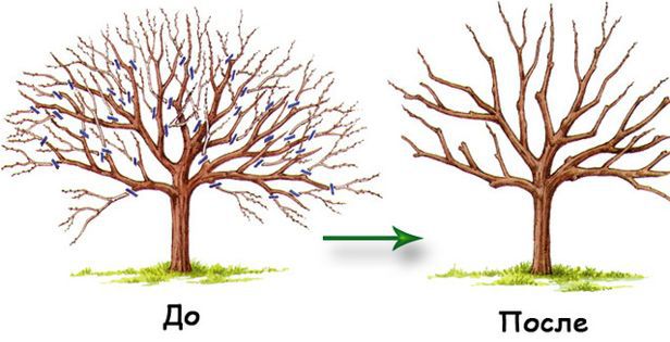 Cropping pattern