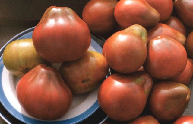 Japanese Truffle Tomatoes