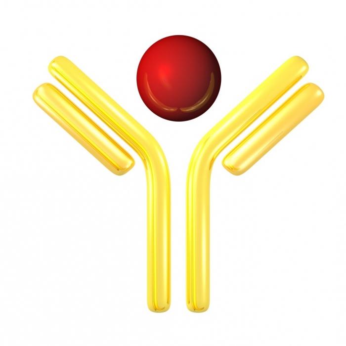 Total immunoglobulin E