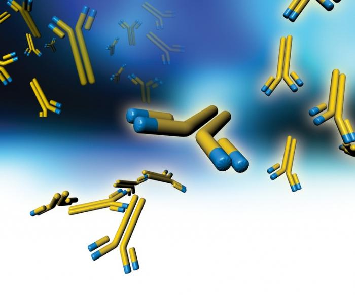 Total immunoglobulin E norm