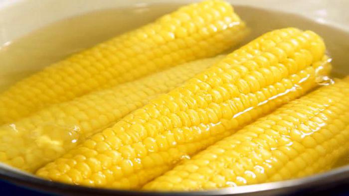 при похудении можно есть кукурузу вареную