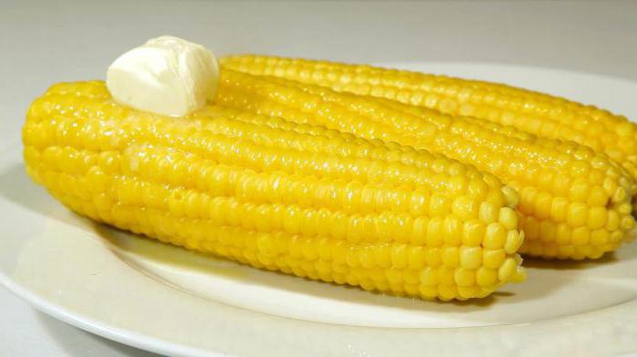 вареная кукуруза при похудении