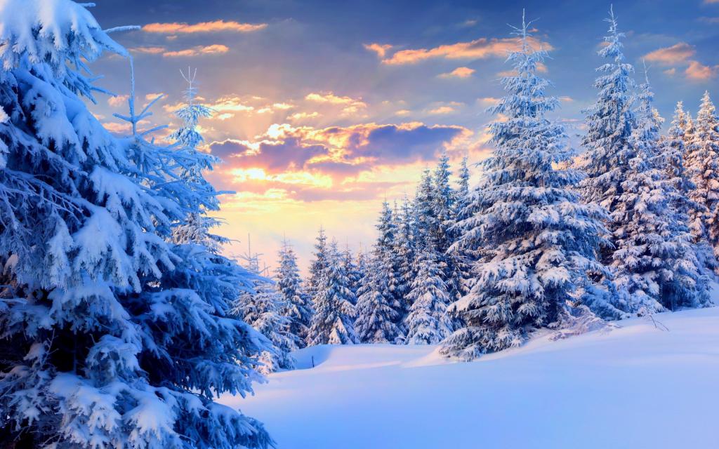 Красивый зимний пейзаж