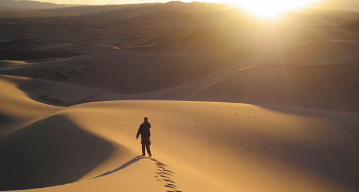странник в пустыне