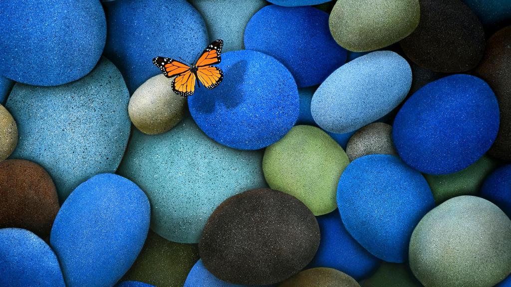 butterfly on stones