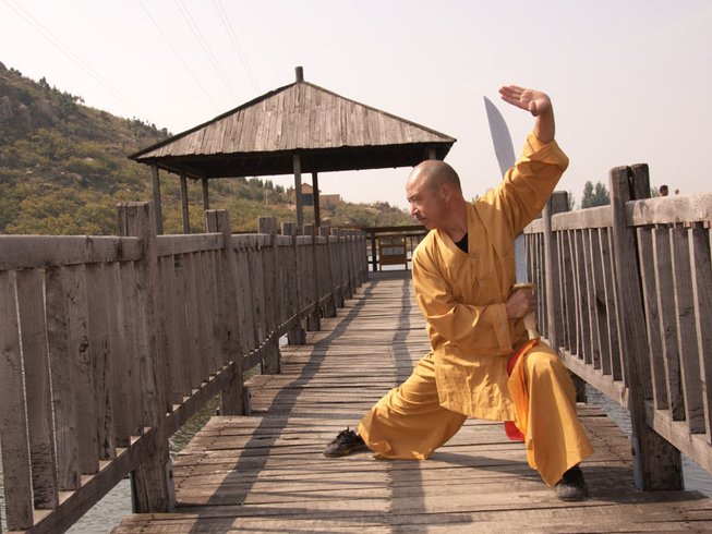 kung fu style photo