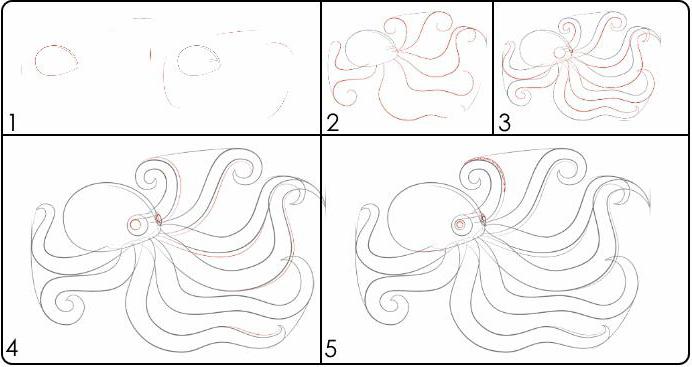 Как нарисовать осьминога поэтапно для детей