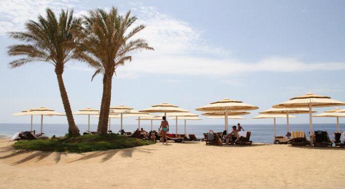 Resta reef resort marsa alam 4 отзывы