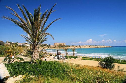 Should I go to Cyprus in January