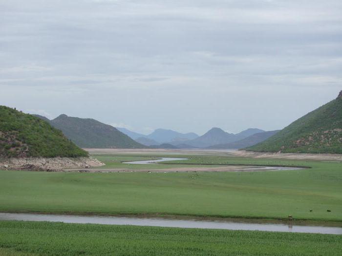 Alluvially meadow soils