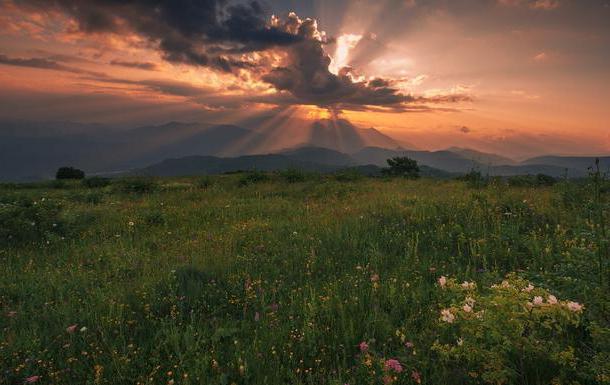 Предгорье кавказа