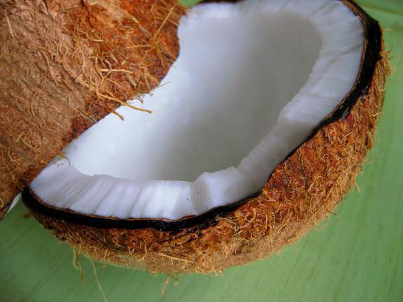 Почему нельзя вывозить кокосы из тайланда