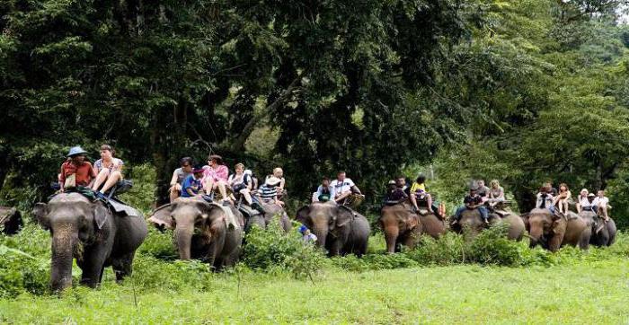 Phuket Treasure Island Tour Prices