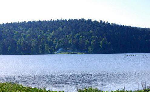 Озеро бархатово красноярск фото