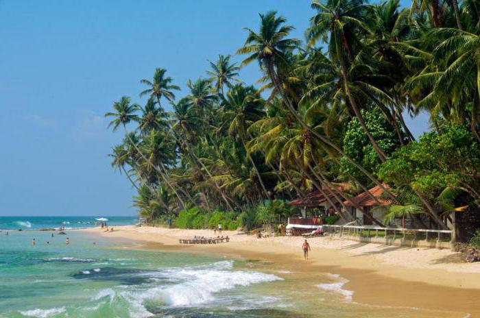 Sri Lanka where it is better to relax in the winter