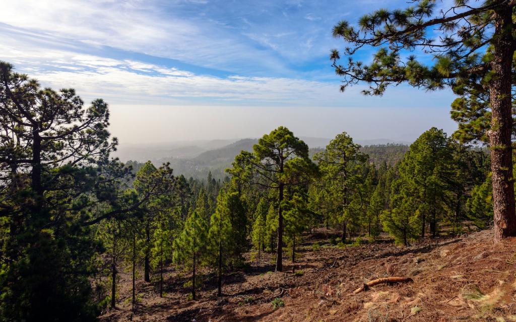 Teide Volcano National Park