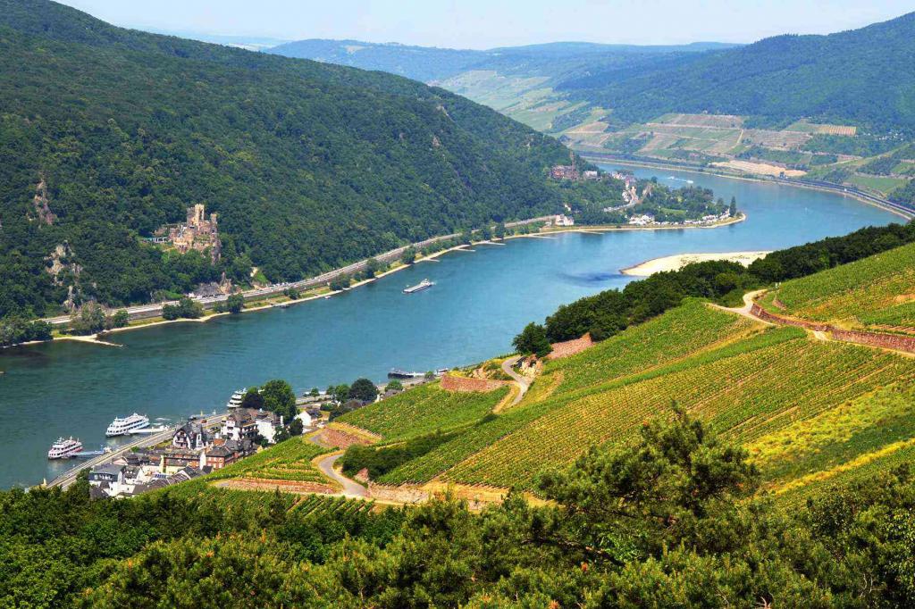 River Rhine Cruises
