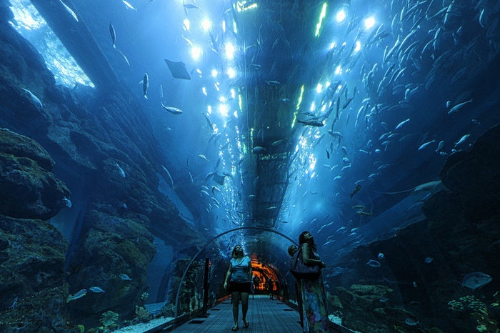 Dubai Aquarium