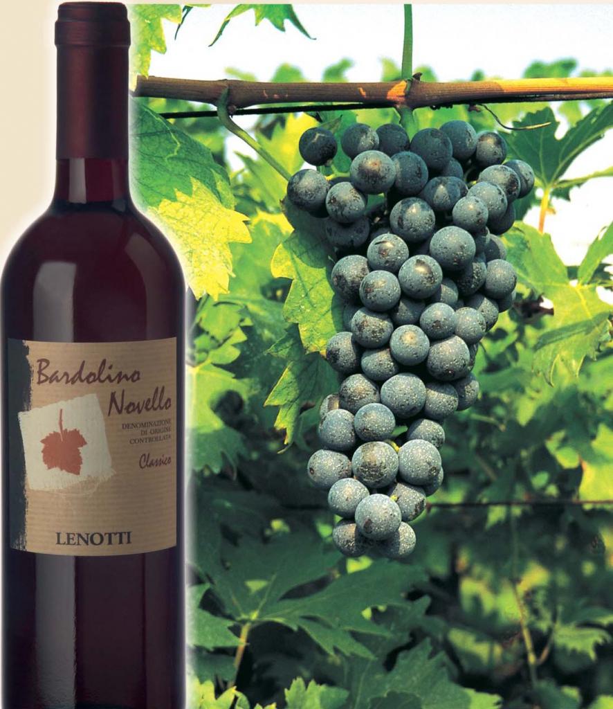 "Бардолино": вино красное сухое