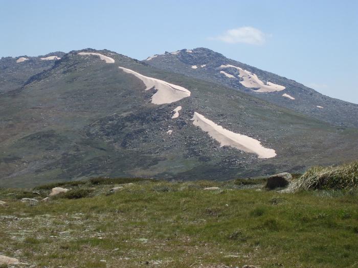 Australia's highest point