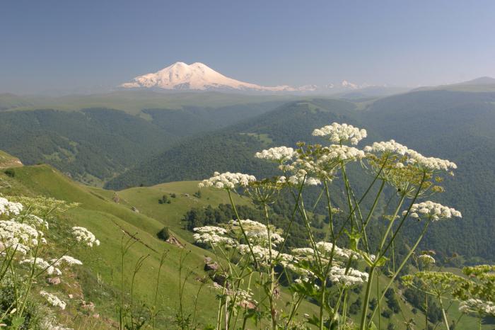 The highest peak in Europe is