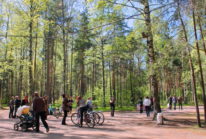 Сосновка парк спб. Сосновский парк в Санкт-Петербурге. Парк Сосновка Петербург. Лесопарк Сосновка в СПБ. Парк Сосновка Шуваловский.