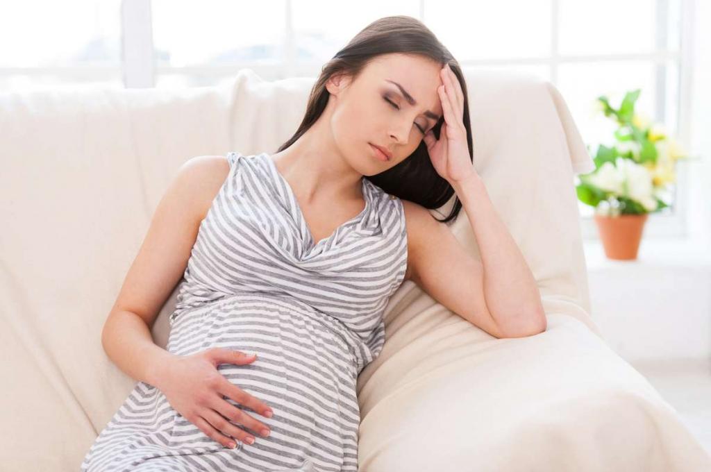 chamomile during pregnancy