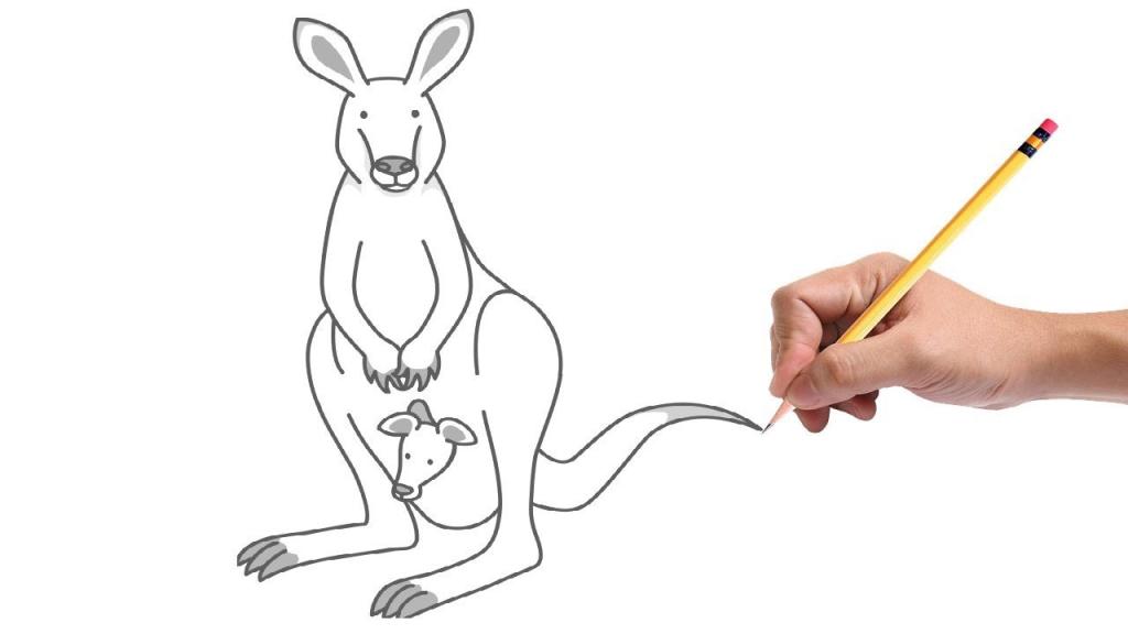 Рисовать кенгуру