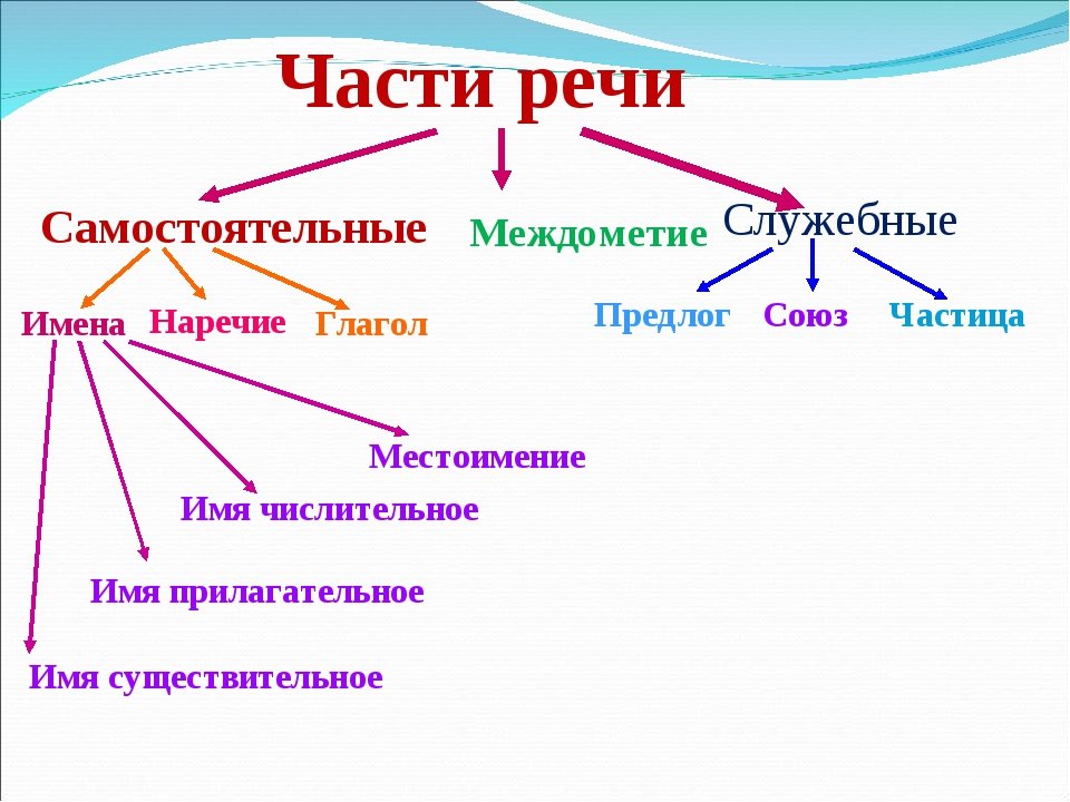 Конспект на тему морфология