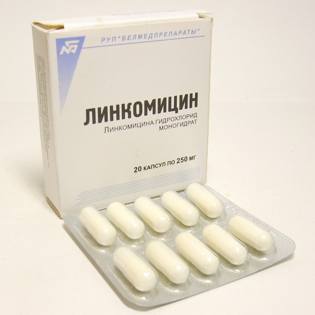 Препараты от стафилококка 26