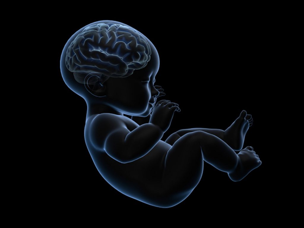 Поражение мозга у новорожденных. Рентген новорожденного ребенка. Плод ребенка.