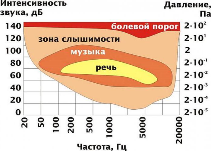 звуки в словах