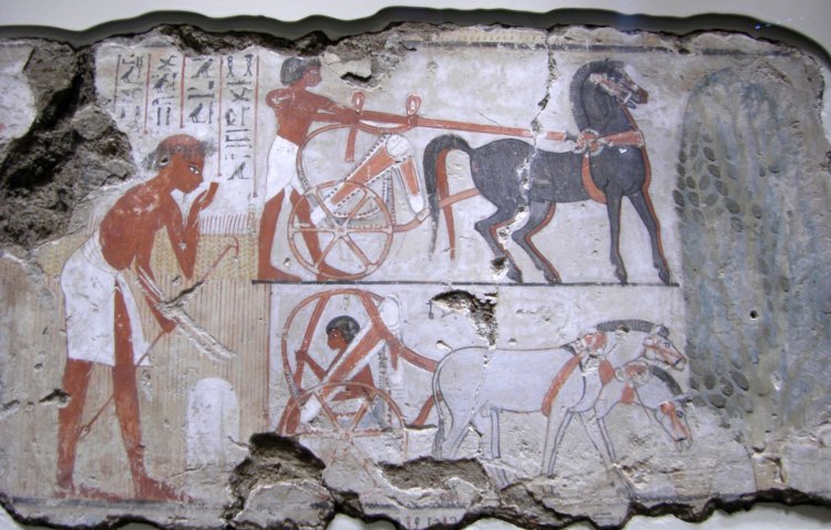 среднее царство древнего египта