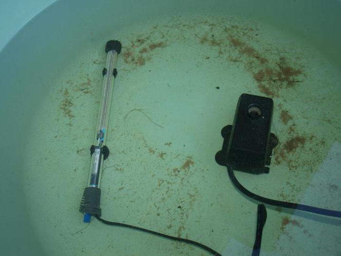 Нагреватель аквариумный с терморегулятором - полный контроль над водной .