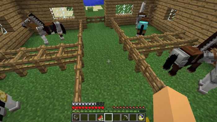 How to do lasso in minecraft