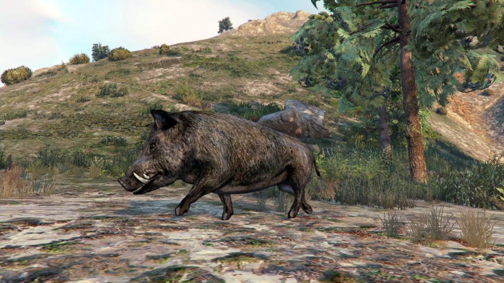 GTA 5: animal fashion