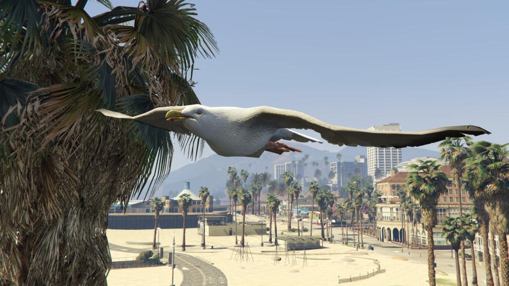 Animals in GTA 5: cats, birds