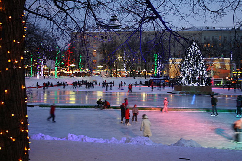 Visitors at the rink