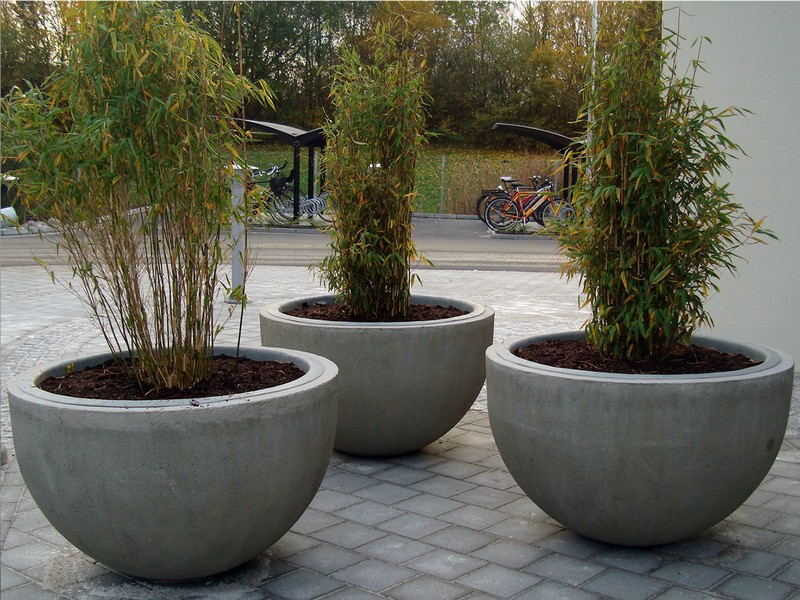 concrete flowerpots