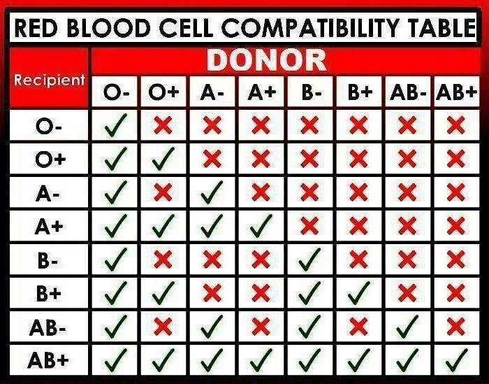 схема групп крови для переливания таблица