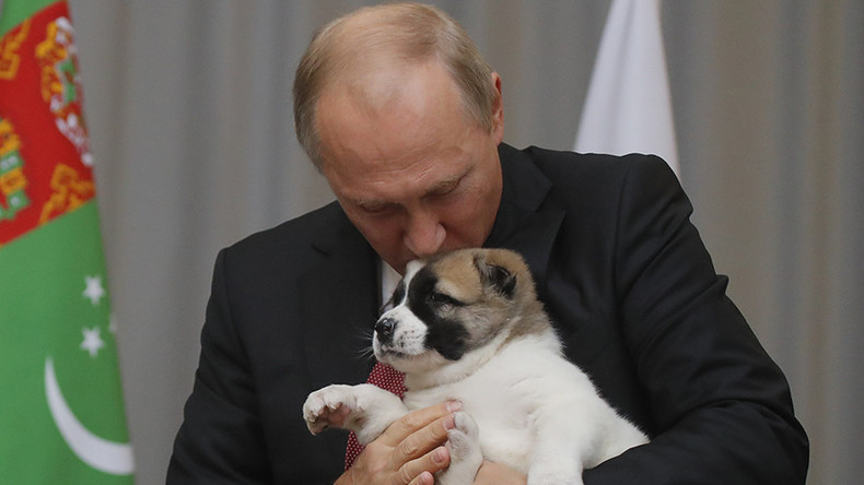 Путин и Верный