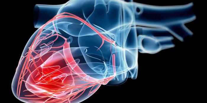 инотропный эффект сердечных гликозидов 