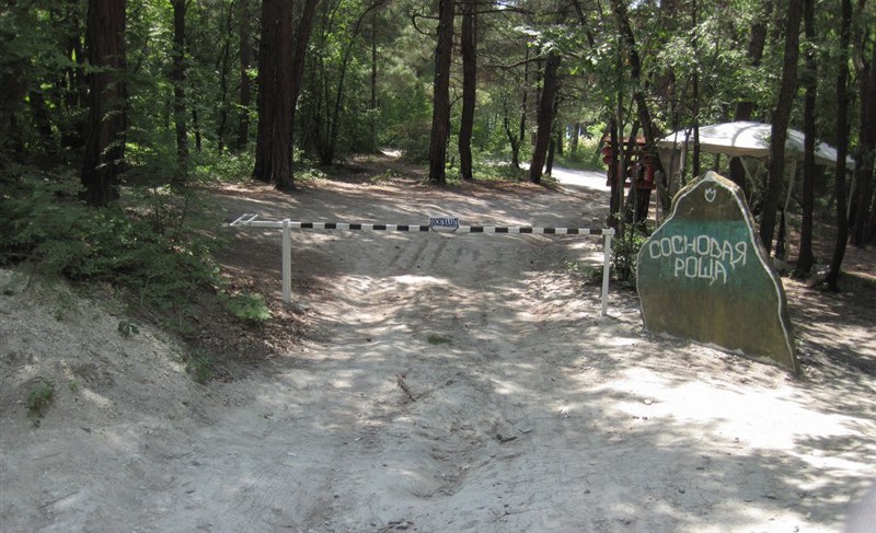 Camping "Pine Grove" Black Sea